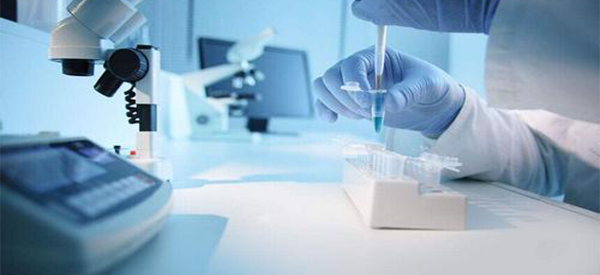 内地人去香港做试管婴儿大概需要多少天？