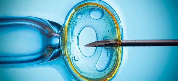 内地人怎么去香港做试管婴儿最方便？