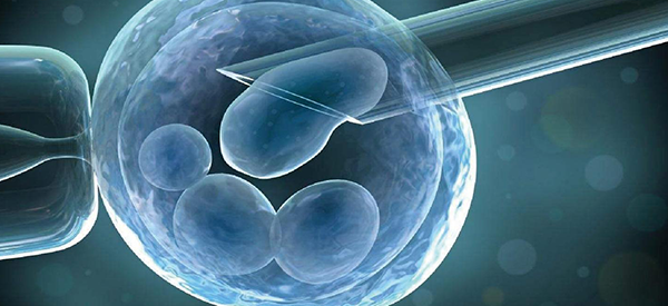 军人做试管婴儿的优惠政策主要有哪些，供参考