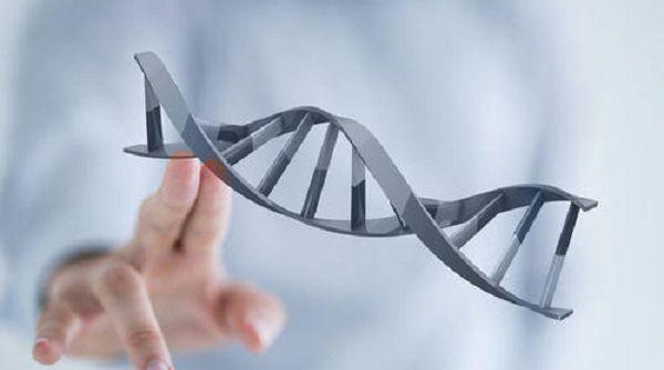 山西妇保院武学清医生做试管的成功率高吗？