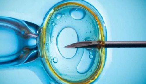 山大生殖姜晶晶医生移植技术好吗？