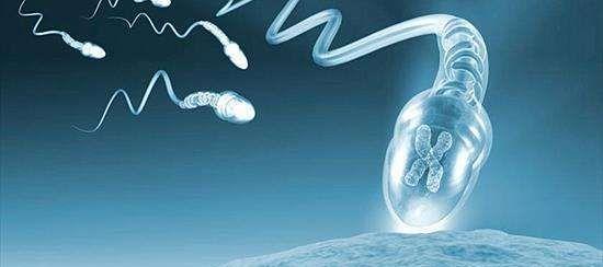 三代试管去温州附一医院做的收费是多少？