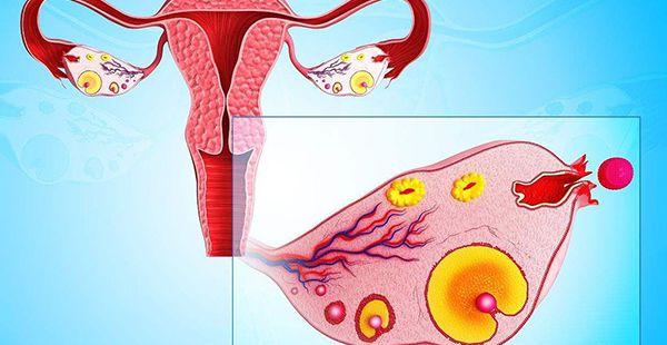 40岁高龄卵巢功能差用微促成功率高吗？