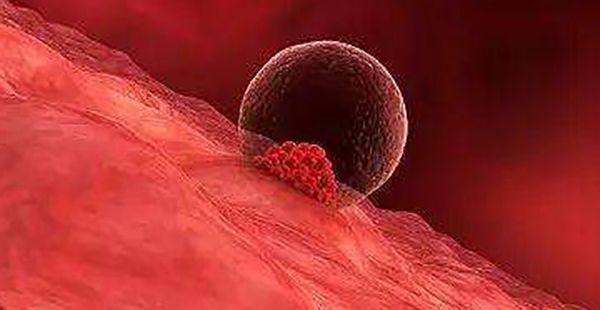 试管移植后腹胀是胚胎不着床的征兆吗？