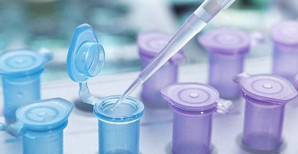 上海集爱试管成功率公布，排名轻松进入全国前二十！