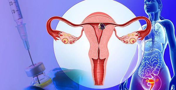 自然周期怎么调内膜？临床常用的3步流程曝光