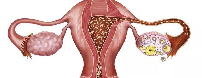试管婴儿高频问题之输卵管，5个维度的通畅度分析