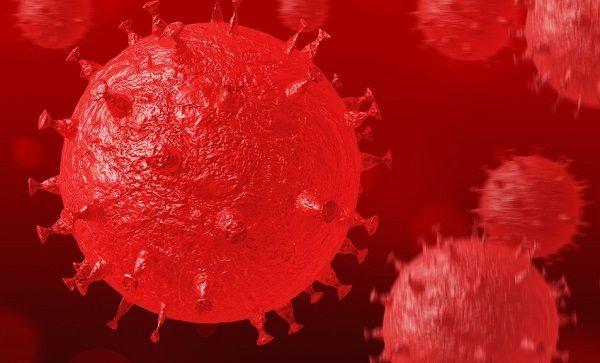 试管婴儿周期胎停不是优生劣汰？是免疫紊乱捣的乱