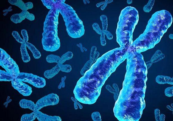 生化、流产、胎停？再次试管婴儿该这样做！