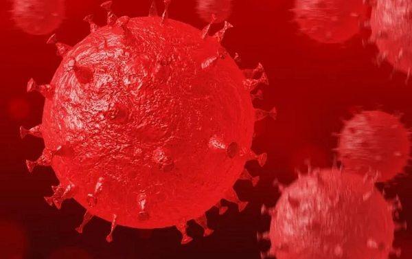 胎停流产的姐妹要重视，甲状腺或影响试管婴儿成功率