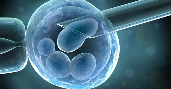 用药周期最短！3分钟了解试管微刺激方案整个流程