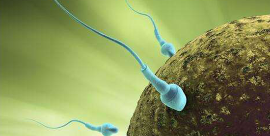 死精症可以做试管吗?医生:死精子达97%都有成功的可能