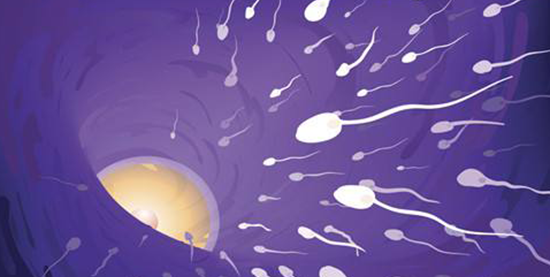 饮食与生活都应谨慎!少精弱精患者皆需注意这3大禁忌