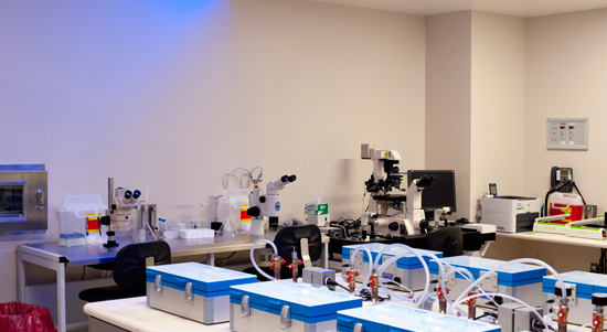 泰国诺菲梵(LaVida):试管成功率高、医生团队阵容强大