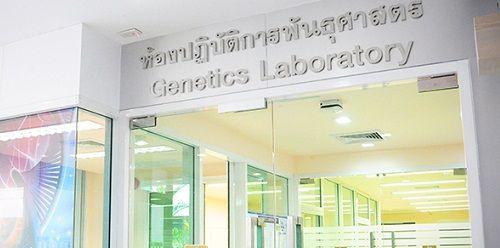 曼谷杰特宁医院试管婴儿流程及注意事项分享