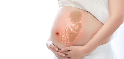 对比！香港试管婴儿优势不仅仅是成功率高