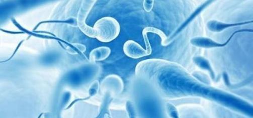 判断出是死精的依据是什么？