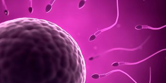 男性少精弱精是怎么回事?原来这4个原因为主要"真凶"!