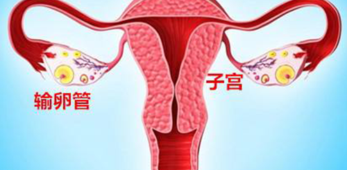 输卵管堵塞能治好吗？需要多长时间？
