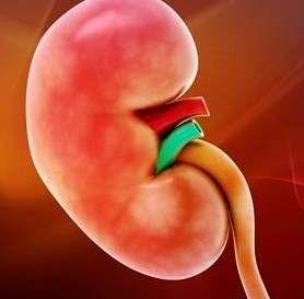 孕妇右肾产生了积水应该注意哪些事项？