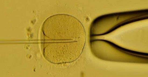 受精卵着床最晚需要15天?医生：同房7-10天着床几率大