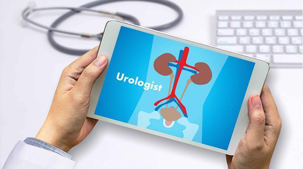 肾功能检查流程并不复杂，掌握这几个步骤方可一步到位