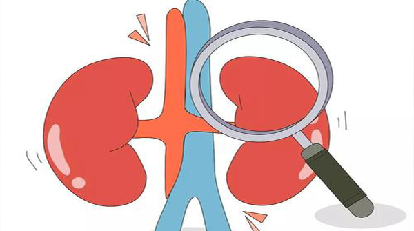 当尿液出现这5种异常情况，那么肾功能检查刻不容缓