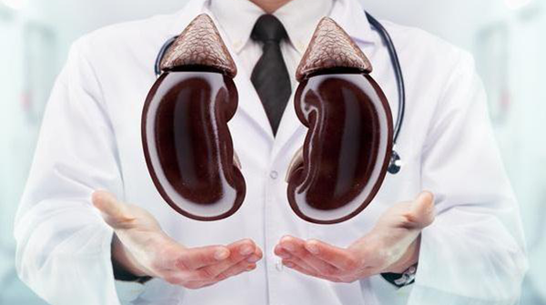 肾功能检查的作用可真不少，让肾脏疾病无所遁形