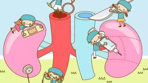 肾功能检查注意事项别忽视，进食喝水可影响结果准确性