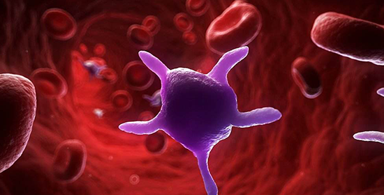 肺癌/肝癌/白血病都会增加!浅谈致转铁蛋白偏高的原因