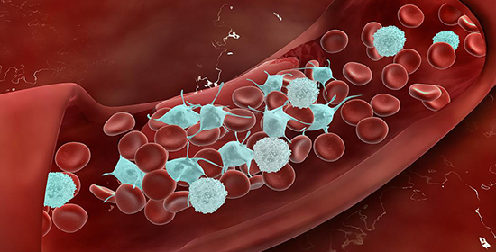 阳性表示可能有消化道肿瘤!转铁蛋白的正常值范围一览