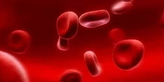 孕妇铁蛋白正常值是多少?据说该指标男性普遍高于女性!