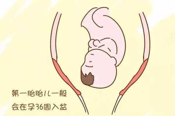 头盆不称选择试产的容错时间有多久？