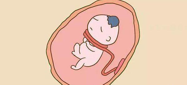 几十块钱一次的胎心监护是不是坑人的？