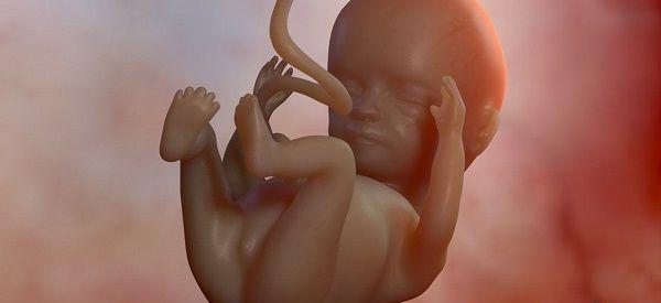 胎位为头位孕妇躺下后摸肚子哪里比较硬？