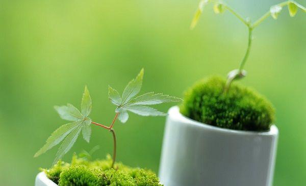 22天新生儿喷射性吐奶像喷泉一样，问题可能在于空气！