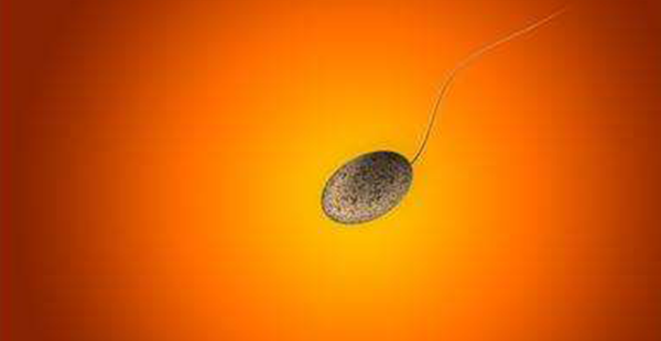 无精症能治好吗?掌握这4点,治疗效果事半功倍