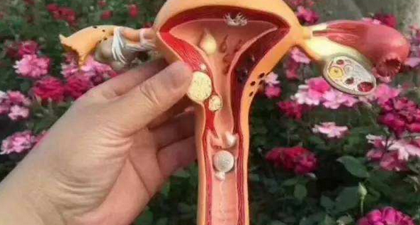 没有子宫能怀孕生宝宝吗？无子宫要孩子的几种方法请收下