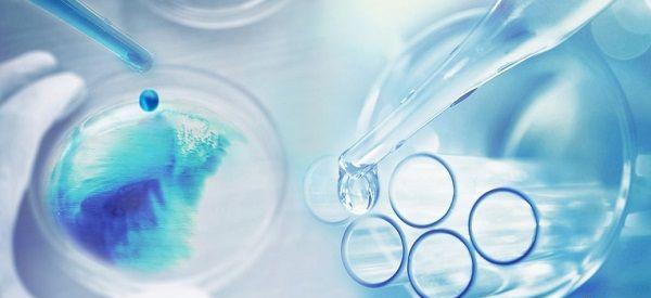 抽取外周血液做无创dna看男女准确率高吗？