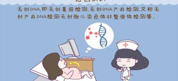 怀孕2个月做无创dna查三项还是全查比较好？