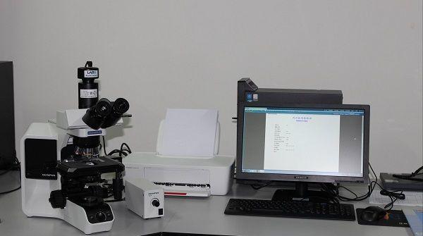 无创DNA检查前注意这4项，把控好时间千万别错过