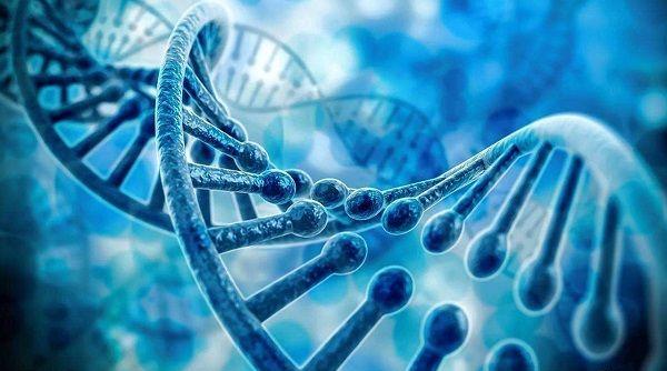 真实经历揭露无创dna医院骗局：终于知道被叫停的原因了