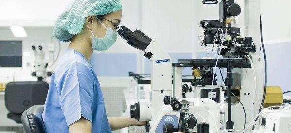 能移植的7细胞鲜胚都是质量比较好的吗？