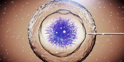 鲜胚移植10天后试纸测不出来还能着床成功吗？