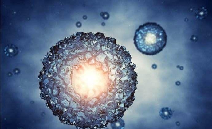 鲜胚需要内膜达到什么标准才能移植？