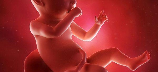 男孩女孩双顶径对照表准确率高不高？