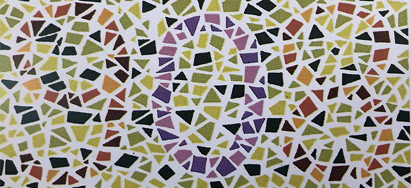 色弱可以做胎儿的性别选择么？