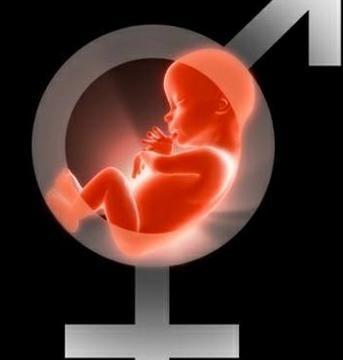 怀男孩和怀女孩之间的区别仅仅是感觉更累吗？