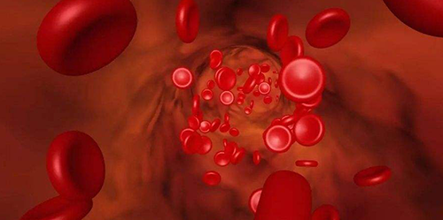 稀缺血型孟买血型和熊猫血的区别在哪里？