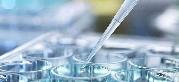 试管专家总结的养囊失败的三大原因是什么？